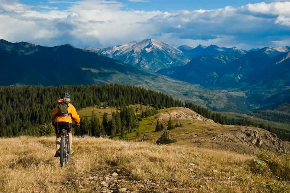 Mountain Bike
